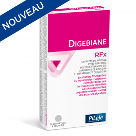 DIGEBIANE RFX Laboratoire PILEJE