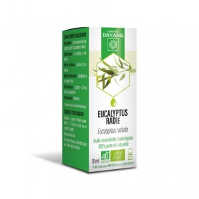 Huile essentielle d’Eucalyptus Radié bio 10ml - DAYANG