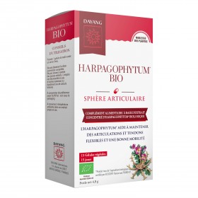 Harpagophyton bio gélules – DAYANG