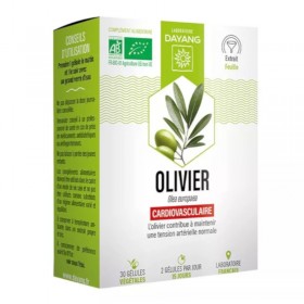 Olivier bio 30 gélules – DAYANG