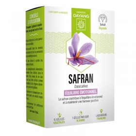 Safran – DAYANG