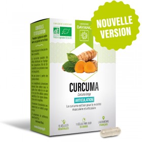 Curcuma bio - sphère articulaire - 15 gélules - DAYANG
