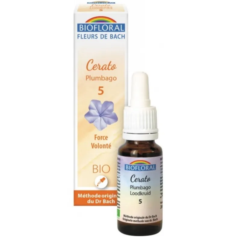 Fleur de Bach BIO Cerato (Plumbago) Flacon 20 ml BIOFLORAL Fleur de Bach BIO Cerato (Plumbago) Flacon 20 ml BIOFLORAL