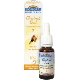Fleur de Bach BIO Chestnut Bud (Bourgeons maronnier) Flacon 20 ml BIOFLORAL