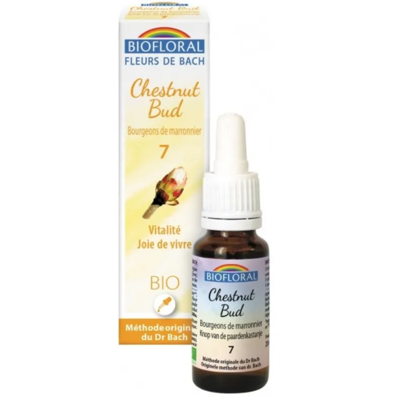 Fleur de Bach BIO Chestnut Bud (Bourgeons maronnier) Flacon 20 ml BIOFLORAL Fleur de Bach BIO Chestnut Bud (Bourgeons maronnier) Flacon 20 ml BIOFLORAL