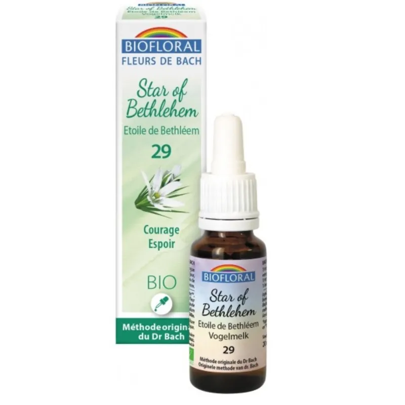 Fleur de Bach BIO Star of Bethlehem (Etoile de Bethlehem) Flacon 20 ml BIOFLORAL Fleur de Bach BIO Star of Bethlehem (Etoile de Bethlehem) Flacon 20 ml BIOFLORAL