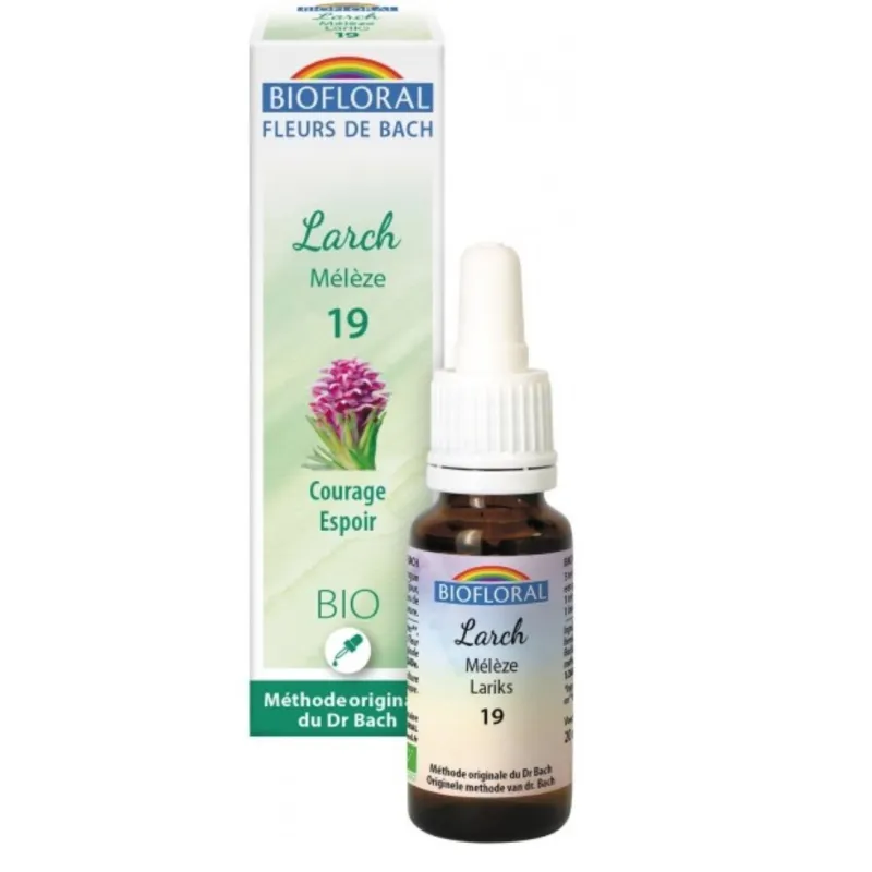 Fleur de Bach BIO Larch (Mélèze) Flacon 20 ml BIOFLORAL Fleur de Bach BIO Larch (Mélèze) Flacon 20 ml BIOFLORAL