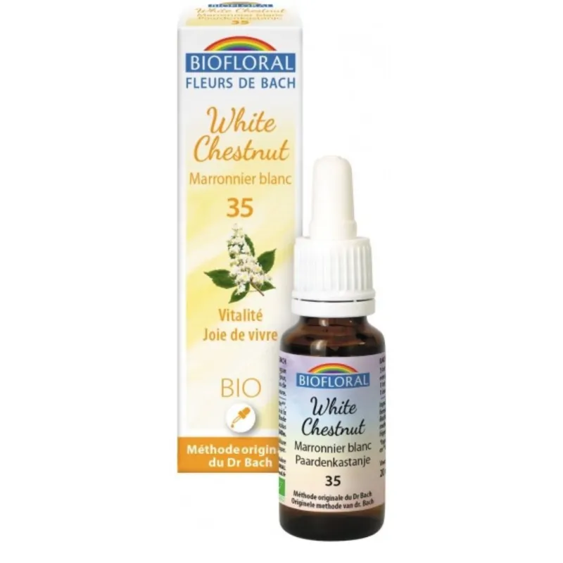 Fleur de Bach BIO White chestnut (Marronier blanc) Flacon 20 ml BIOFLORAL Fleur de Bach BIO White chestnut (Marronier blanc) Flacon 20 ml BIOFLORAL