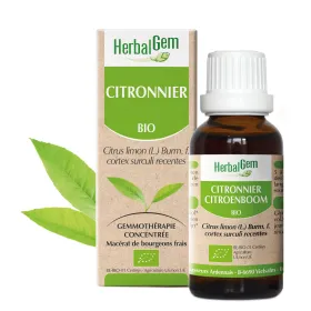 Citronnier BIO Macérat mère Bourgeons Flacon 50 ml HERBALGEM