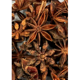 Badiane de Chine (Anis étoilé) BIO Fruit Tisane vrac 250 g