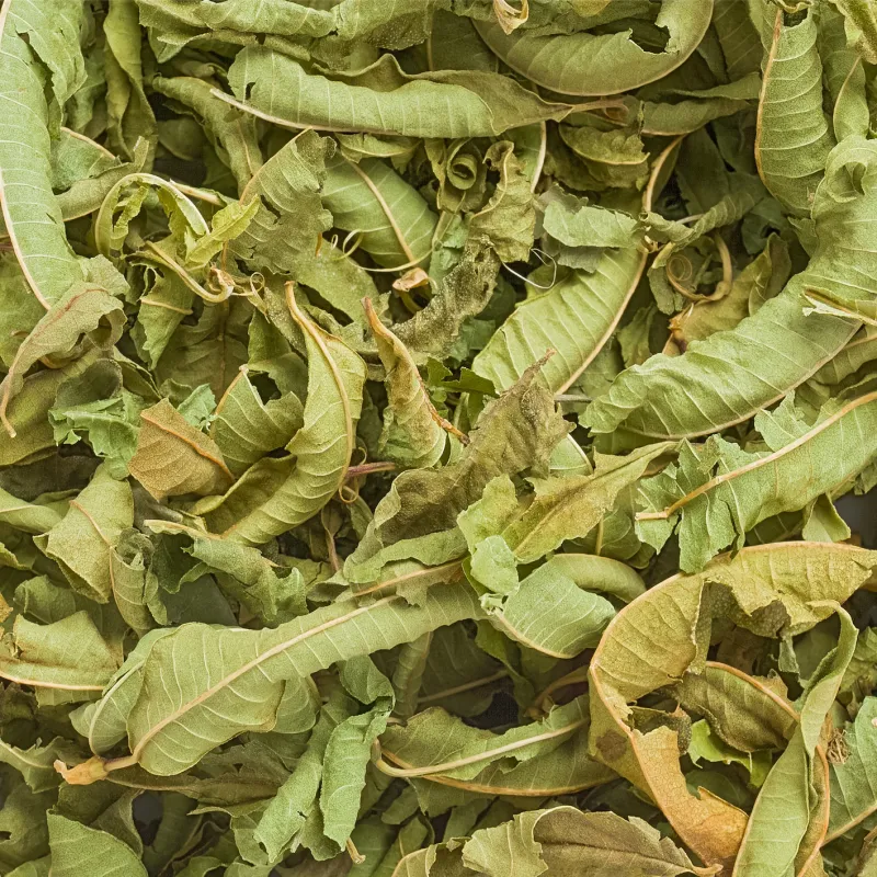 Verveine odorante BIO Feuille Tisane vrac 50 g Verveine odorante BIO Feuille Tisane vrac 50 g