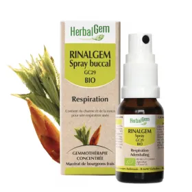 Rinalgem Spray buccal 10 ml Rhinite allergique HERBALGEM
