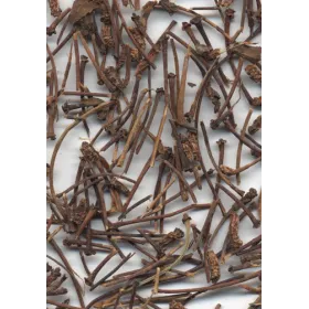Cerisier (Cerise) Queues entières Tisane vrac 250 g