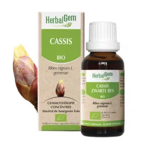 Cassis BIO Macérat mère Bourgeons Flacon 30 ml HERBALGEM