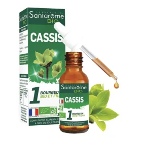 Cassis BIO Macérat de bourgeons Flacon 30 ml SANTAROME