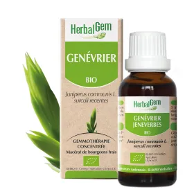 Genevrier BIO Macerat mère bourgeons Flacon 30 ml HERBALGEM