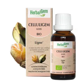 Celluligem BIO Flacon 30 ml Complexe Ligne GC05 HERBALGEM