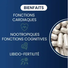 Coenzyme Q10 Ubiquinol 100 mg Activée et hydrosoluble 60 gélules DYNVEO