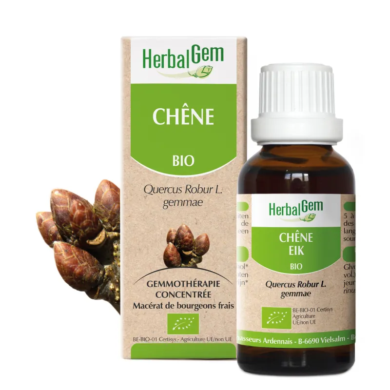 Chêne BIO Macerat mère bourgeons Flacon 30 ml HERBALGEM Chêne BIO Macerat mère bourgeons Flacon 30 ml HERBALGEM