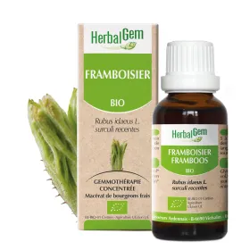 Framboisier BIO Macérat mère Bourgeons Flacon 30 ml HERBALGEM