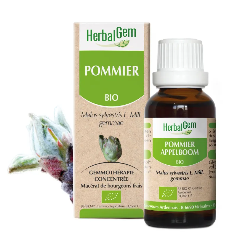 Pommier BIO Macérat mère bourgeons Flacon 30 ml HERBALGEM Pommier BIO Macérat mère bourgeons Flacon 30 ml HERBALGEM