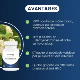 Murier Blanc titré à 5% en DNJ 60 gélules DYNVEO