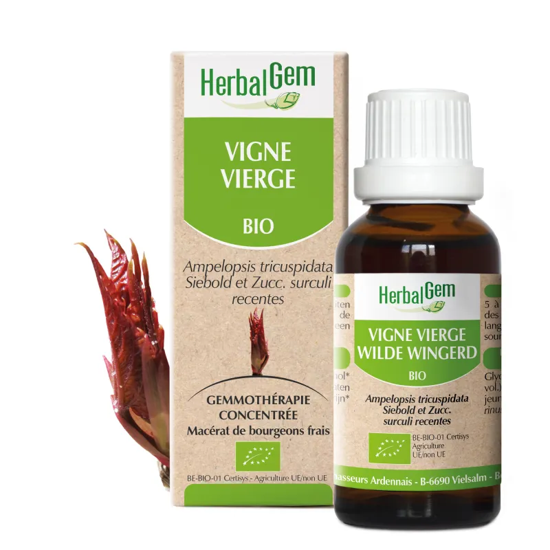 Vigne vierge BIO Macérat mère bourgeons Flacon 30 ml HERBALGEM Vigne vierge BIO Macérat mère bourgeons Flacon 30 ml HERBALGEM