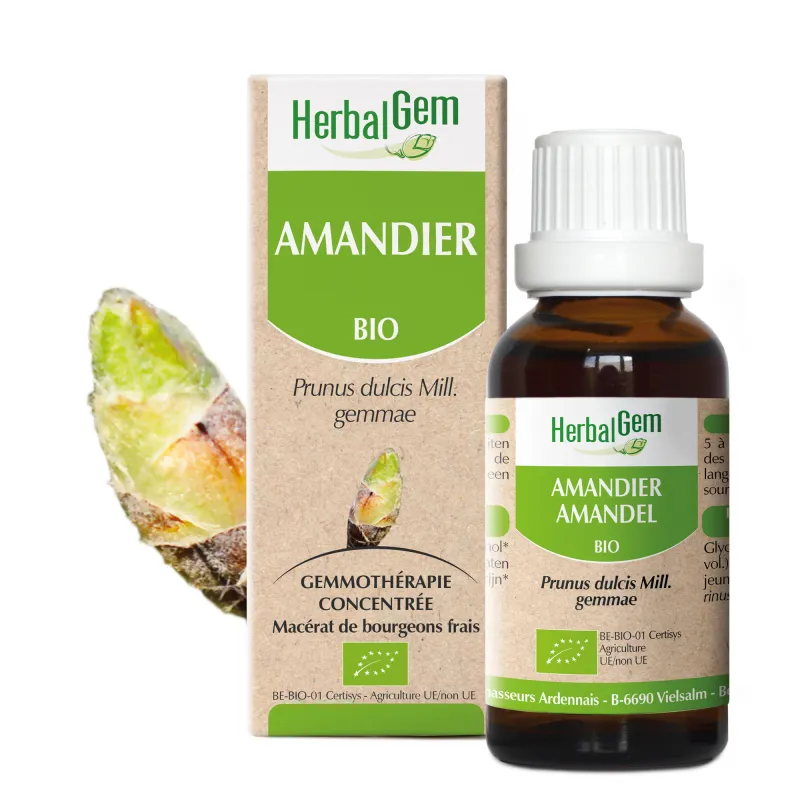 Amandier (Amande douce) BIO Macérat mère Bourgeons Flacon 30 ml - HERBALGEM Amandier (Amande douce) BIO Macérat mère Bourgeons Flacon 30 ml - HERBALGEM