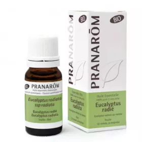 Huile essentielle Eucalyptus radié BIO 10 ml | PRANAROM