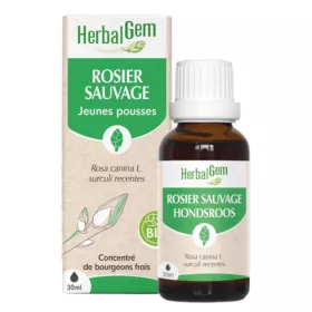 rosier-sauvage-bio-macérat-mère-jeunes-pousses-flacon-50-ml-herbalgem