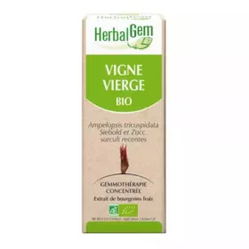 vigne-vierge-bio-macérat-mère-bourgeons-flacon-30-ml-herbalgem