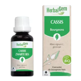 Cassis BIO Macérat mère Bourgeons Flacon 30 ml HERBALGEM