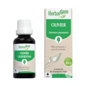 macerat-mere-olivier-bio-herbalgem