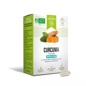 Curcuma bio - sphère articulaire - 15 gélules - DAYANG