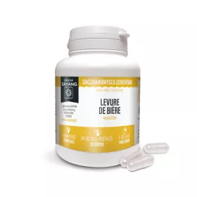 Levure de bière revivifiable - 90 gélules - DAYANG