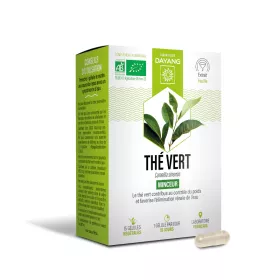 Organic green tea in capsules - DAYANG