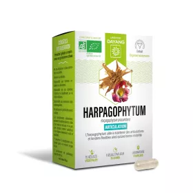 Harpagophyton bio gélules – DAYANG