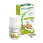 Gingembre extrait concentré - 30 gélules - NATURACTIVE