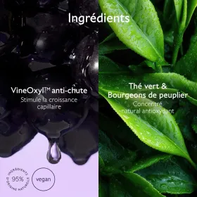 Shampoing Caudalie Volume : Densité & Cheveux Épais - Sans Sulfates