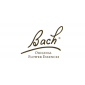 Bach