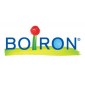 Boiron