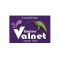 Docteur Valnet
